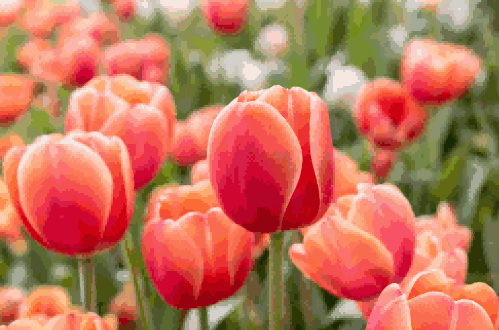 海关数据,kdpay钱包官网海关数据,荷兰海关数据