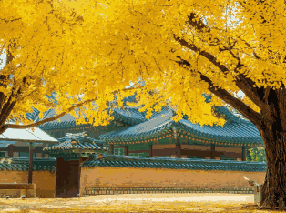 韩国外贸数据,外贸数据,kdpay钱包官网外贸数据